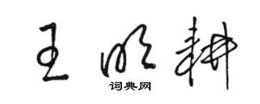 駱恆光王明耕草書個性簽名怎么寫