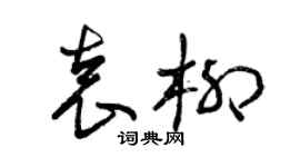 曾慶福袁柳草書個性簽名怎么寫