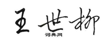 駱恆光王世柳行書個性簽名怎么寫