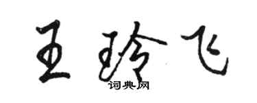 駱恆光王玲飛行書個性簽名怎么寫