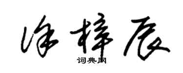 朱錫榮徐梓辰草書個性簽名怎么寫