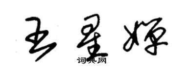 朱錫榮王星嬋草書個性簽名怎么寫