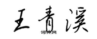 王正良王青溪行書個性簽名怎么寫