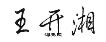 駱恆光王開湘行書個性簽名怎么寫