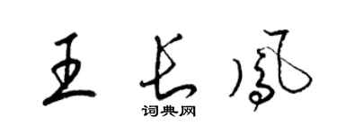 梁錦英王長鳳草書個性簽名怎么寫