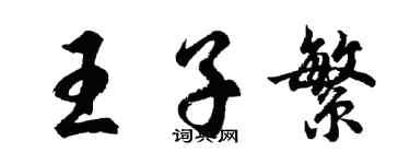 胡問遂王子繁行書個性簽名怎么寫