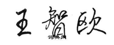 駱恆光王智歐行書個性簽名怎么寫