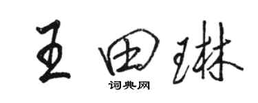 駱恆光王田琳行書個性簽名怎么寫