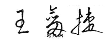 駱恆光王劍捷草書個性簽名怎么寫