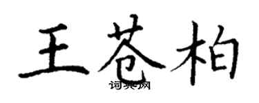 丁謙王蒼柏楷書個性簽名怎么寫