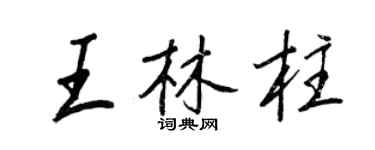 王正良王林柱行書個性簽名怎么寫