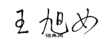 駱恆光王旭女草書個性簽名怎么寫