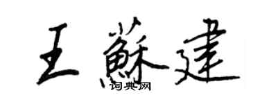 王正良王蘇建行書個性簽名怎么寫