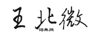 駱恆光王北微行書個性簽名怎么寫