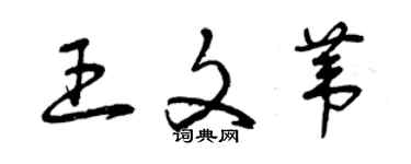 曾慶福王文葦草書個性簽名怎么寫