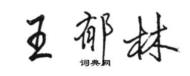 駱恆光王鬱林行書個性簽名怎么寫