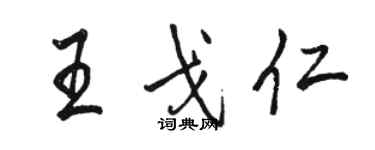 駱恆光王戈仁行書個性簽名怎么寫