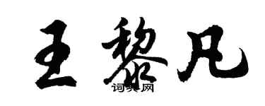 胡問遂王黎凡行書個性簽名怎么寫