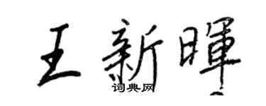 王正良王新暉行書個性簽名怎么寫