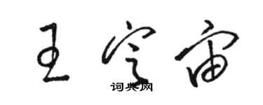 駱恆光王定宙草書個性簽名怎么寫