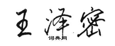 駱恆光王澤密行書個性簽名怎么寫