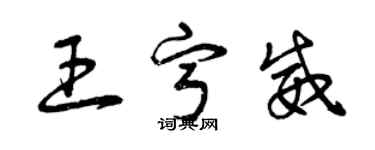 曾慶福王寧威草書個性簽名怎么寫
