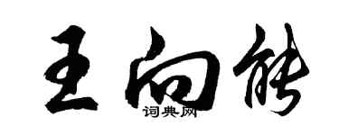 胡問遂王向能行書個性簽名怎么寫