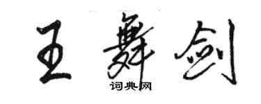 駱恆光王舞劍行書個性簽名怎么寫