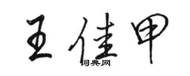 駱恆光王佳甲行書個性簽名怎么寫