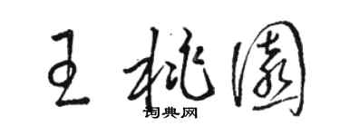 駱恆光王桃園草書個性簽名怎么寫