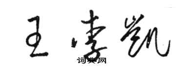 駱恆光王李凱草書個性簽名怎么寫