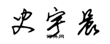朱錫榮史宇晨草書個性簽名怎么寫