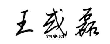 王正良王或磊行書個性簽名怎么寫