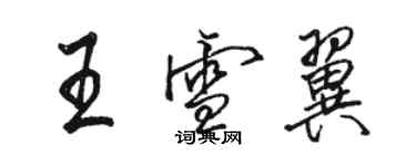 駱恆光王雪翼行書個性簽名怎么寫