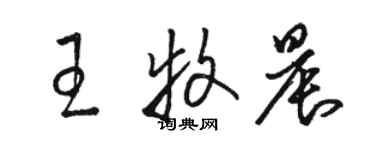 駱恆光王牧晨草書個性簽名怎么寫