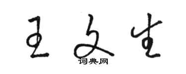 駱恆光王文生草書個性簽名怎么寫