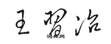 駱恆光王習冶草書個性簽名怎么寫