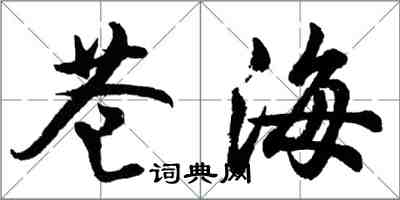 胡問遂蒼海行書怎么寫