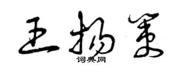 曾慶福王揚策草書個性簽名怎么寫