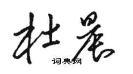 駱恆光杜晨草書個性簽名怎么寫