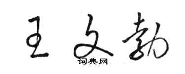 駱恆光王文勃草書個性簽名怎么寫