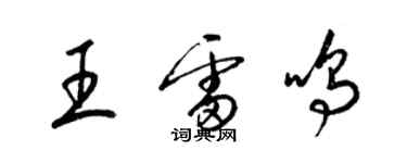 梁錦英王雷鳴草書個性簽名怎么寫