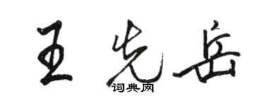 駱恆光王先岳行書個性簽名怎么寫