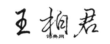 駱恆光王柏君行書個性簽名怎么寫