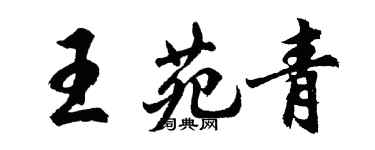 胡問遂王苑青行書個性簽名怎么寫