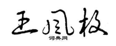 曾慶福王風枚草書個性簽名怎么寫