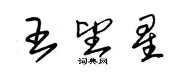 朱錫榮王望星草書個性簽名怎么寫