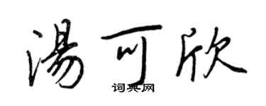 王正良湯可欣行書個性簽名怎么寫
