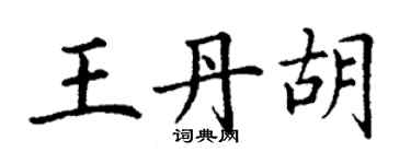 丁謙王丹胡楷書個性簽名怎么寫