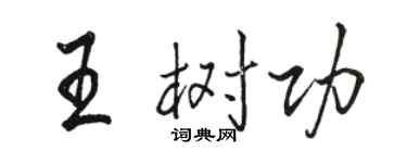 駱恆光王樹功行書個性簽名怎么寫